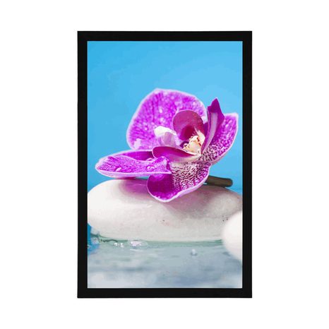 PLAKÁT ORCHIDEJ A ZEN KAMENY - FENG SHUI - PLAKÁTY