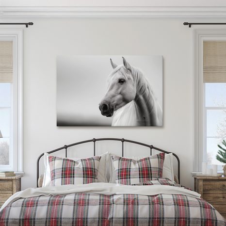 WANDBILD WEISSES PFERD IM NEBEL - BILDER VON PFERDEN - BILDER