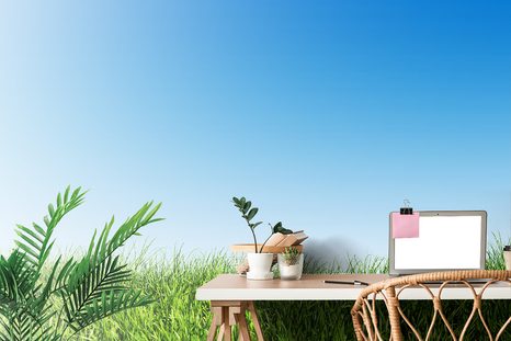 TAPETA OBLOHA NAD LOUKOU - TAPETY PŘÍRODA - TAPETY