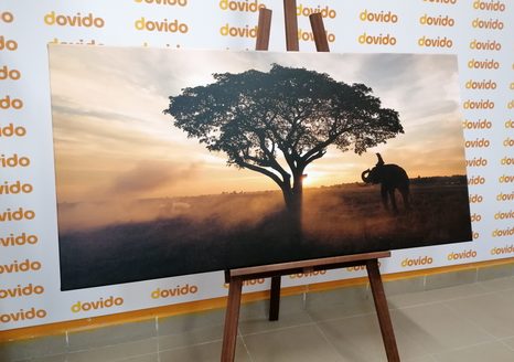 TABLOU ELEFANT LA RĂSĂRITUL DE SOARE - TABLOURI ANIMALE - TABLOURI