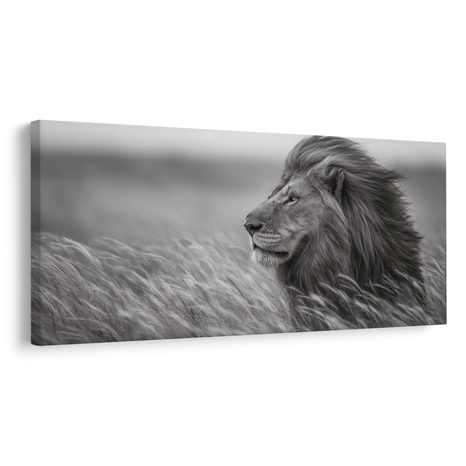 OBRAZ MAJESTÁTNÍ LEV V PŘÍRODĚ - OBRAZY LVI A TYGŘI - OBRAZY