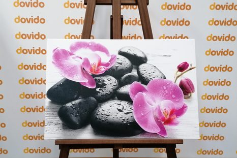 OBRAZ KRÁSNA SÚHRA KAMEŇOV A ORCHIDEY - OBRAZY FENG SHUI - OBRAZY