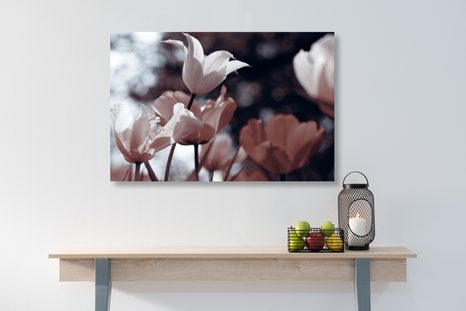 SLIKA SPOMLADANSKI TULIPANI V PARKU - SLIKE ROŽ - SLIKE