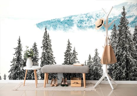 FOTOTAPETA ZASNĚŽENÉ BOROVÉ STROMY - TAPETY PŘÍRODA - TAPETY