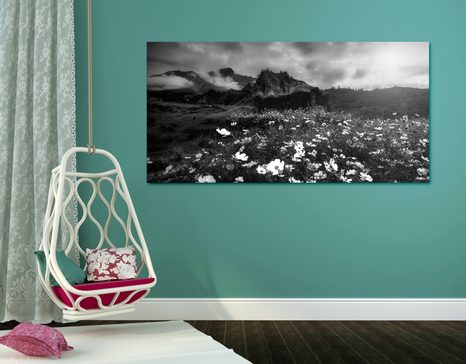 KÉP VIRÁGZÓ RÉT FEKETE FEHÉRBEN - FEKETE-FEHÉR KÉPEK - KÉPEK