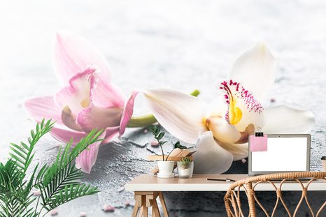 ΤΟΙΧΟΓΡΑΦΊΑ ΛΟΥΛΟΎΔΙΑ ΟΡΧΙΔΈΑΣ - ΤΑΠΕΤΣΑΡΊΑ ΜΕ ΛΟΥΛΟΎΔΙΑ - ΤΑΠΕΤΣΑΡΊΕΣ