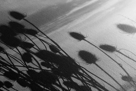 SLIKA TRAVA NA POLJU V ČRNOBELI IZVEDBI - ČRNOBELE SLIKE - SLIKE