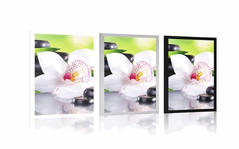 POSTER JAPANISCHE ORCHIDEE - FENG SHUI - POSTER