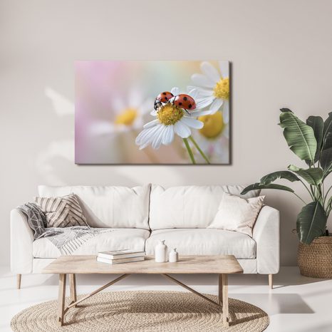 OBRAZ BERUŠKY NA KVĚTINĚ - OBRAZY ZVÍŘAT - OBRAZY