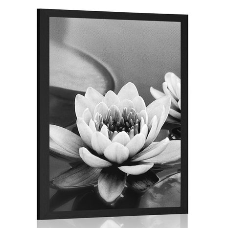 POSTER – FIORE DI LOTO NEL LAGO IN BIANCO E NERO - NERO E BIANCO - POSTER