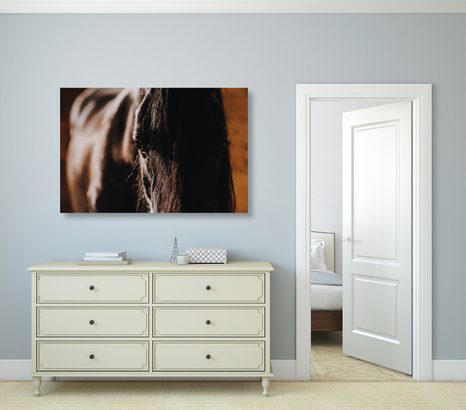 TABLEAU SUR TOILE – CHEVAL MAJESTUEUX - IMAGES D'ANIMAUX - TABLEAUX