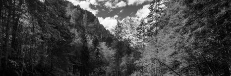 КАРТИНА НА ПЛАТНО – ЧЕРНО-БЯЛ ПЛАНИНСКИ ПЕЙЗАЖ - ЧЕРНО-БЕЛИ КАРТИНИ - КАРТИНИ