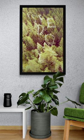 PLAKÁT LES S NÁPISEM FREEDOM - MOTIVY Z NAŠÍ DÍLNY - PLAKÁTY