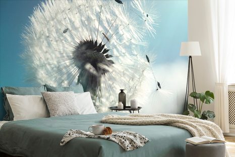 SAMOLEPÍCÍ FOTOTAPETA DETAIL PAMPELIŠKY - SAMOLEPÍCÍ TAPETY - TAPETY