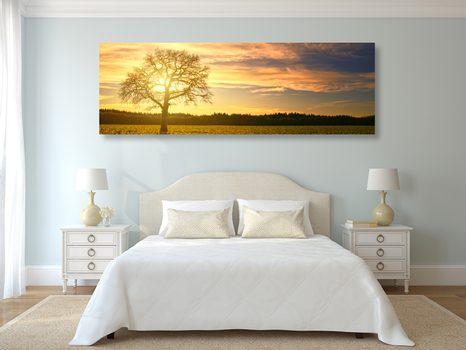 OBRAZ OSAMĚLÉHO STROMU - OBRAZY PŘÍRODY A KRAJINY - OBRAZY