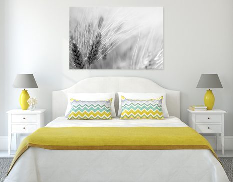 SLIKA PŠENIČNO POLJE V ČRNOBELI IZVEDBI - ČRNOBELE SLIKE - SLIKE