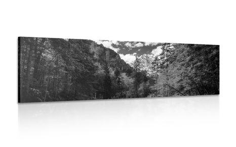 QUADRO PAESAGGIO DI MONTAGNA IN BIANCO E NERO - QUADRI BIANCO E NERO - QUADRI