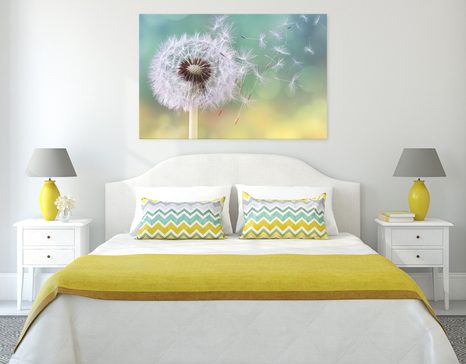 TABLOU PĂPĂDIE MAGICĂ - TABLOU FLORI - TABLOURI