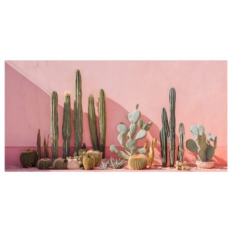 WANDBILD MODERNE KAKTEENGARTEN - BOTANISCHE BILDER - BILDER