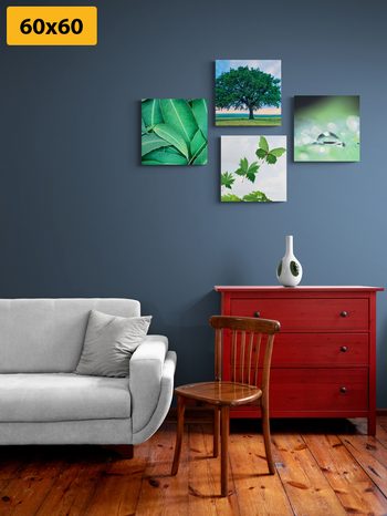 SET OBRAZŮ PŘÍRODA PLNÁ ZELENĚ - SESTAVY OBRAZŮ - OBRAZY