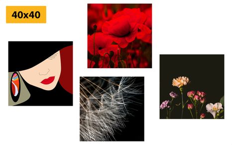 SET OBRAZŮ ELEGANTNÍ ŽENA V ZAJÍMAVÉM STYLU - SESTAVY OBRAZŮ - OBRAZY