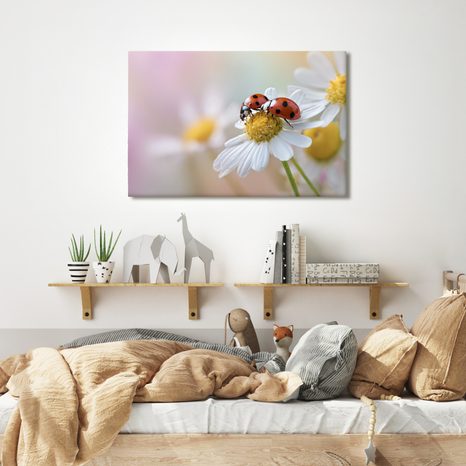 OBRAZ BERUŠKY NA KVĚTINĚ - OBRAZY ZVÍŘAT - OBRAZY