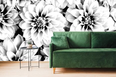 FOTOTAPETE DAHLIENBLUMEN IN SCHWARZ-WEISS - TAPETEN - 🔥 TOTALAUSVERKAUF