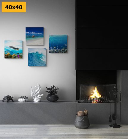 BILDER-SET MEERESWELT - BILDERSETS - BILDER