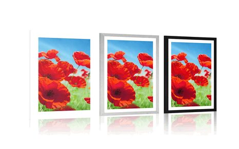 POSTER WITH MOUNT POPPY FLOWERS IN THE MEADOW - FLOWERS - POSTERS