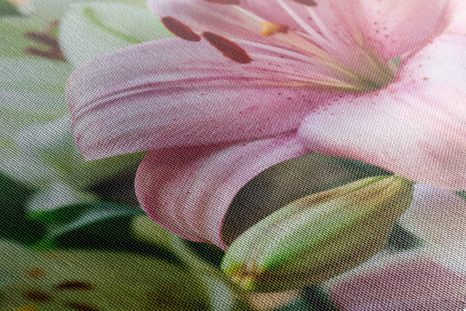 CANVAS PRINT PINK LILY IN BLOOM - PICTURES FLOWERS - PICTURES