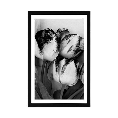 AFFICHE AVEC PASSE-PARTOUT – TULIPES PRINTANIÈRES EN NOIR ET BLANC - NOIR ET BLANC - AFFICHES