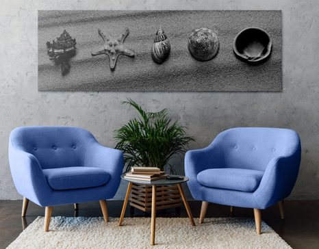 OBRAZ MUSZLE NA PIASZCZYSTEJ PLAŻY W WERSJI CZARNO-BIAŁEJ - OBRAZY CZARNO-BIAŁE - OBRAZY