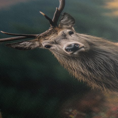 OBRAZ MAJESTÁTNÍ JELEN V LESE - OBRAZY JELENI - OBRAZY