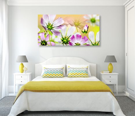 OBRAZ ZAHRADNÍ KVĚTINY - OBRAZY KVĚTŮ - OBRAZY