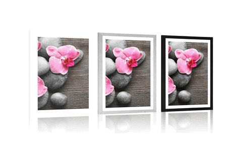 POSTER – COMPOSIZIONE ELEGANTE CON FIORI DI ORCHIDEA - FENG SHUI - POSTER