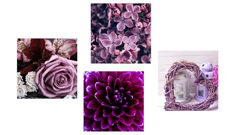 SET OBRAZOV FIALOVÉ KVETY SO SRDIEČKOM - ZOSTAVY OBRAZOV - OBRAZY