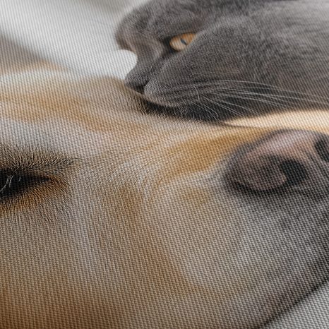 WANDBILD FREUNDSCHAFT ZWISCHEN HUND UND KATZE - BILDER TIERE - BILDER