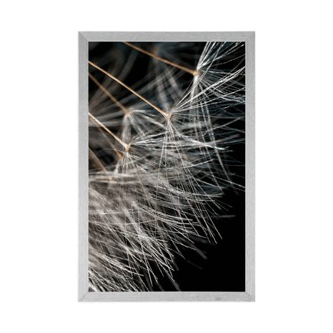 POSTER DANDELION BEAUTY - FLOWERS - POSTERS