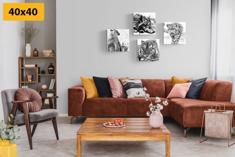 SET OBRAZŮ ZVÍŘATA V ČERNOBÍLÉM AKVARELOVÉM PROVEDENÍ - SESTAVY OBRAZŮ - OBRAZY