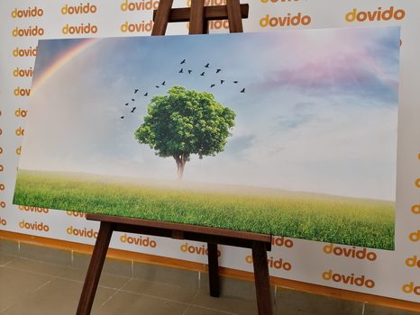 OBRAZ OSAMĚLÝ STROM NA LOUCE - OBRAZY PŘÍRODY A KRAJINY - OBRAZY