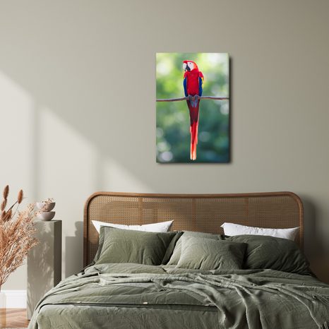 OBRAZ JASNĚ ČERVENÝ PAPOUŠEK NA VĚTVI - OBRAZY PTÁCI - OBRAZY