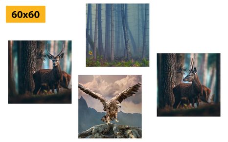 KÉPSZETT ERDEI ZUGOK - KÉPSZETTEK - KÉPEK