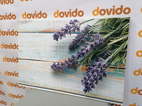 OBRAZ LEVANDULE NA DŘEVĚNÉM POZADÍ - OBRAZY KVĚTŮ - OBRAZY