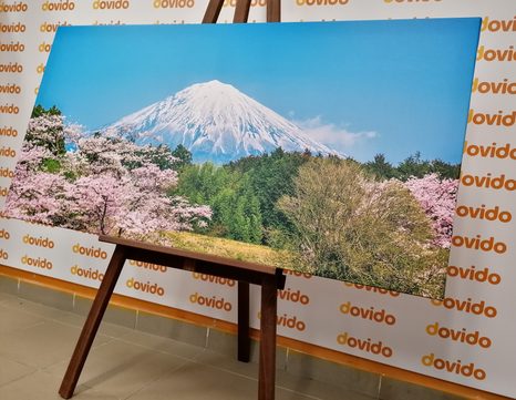 WANDBILD BERG FUJI - BILDER VON NATUR UND LANDSCHAFT - BILDER