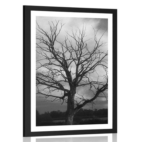 POSTER MIT PASSEPARTOUT BAUM AUF DER WIESE IN SCHWARZ-WEISS - SCHWARZ-WEISS - POSTER