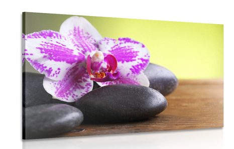 PICTURE OF BLACK STONES WITH ORCHID