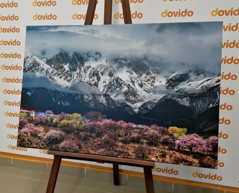 КАРТИНА НА ПЛАТНО – УНИКАЛЕН ПЛАНИНСКИ ПЕЙЗАЖ - КАРТИНИ НА ПРИРОДАТА И ПЕЙЗАЖИ - КАРТИНИ