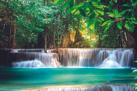 FOTOTAPET TREZIREA NATURII - TAPETURI - 🔥 REDUCERE TOTALÃ