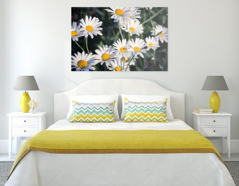 TABLEAU SUR TOILE – MARGUERITES DANS LE JARDIN - TABLEAUX DE FLEURS - TABLEAUX