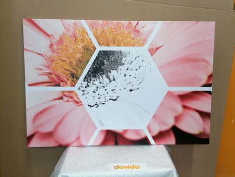 КАРТИНА НА ПЛАТНО – ГЕРГИНА В ШЕСТОЪГЪЛНИК - КАРТИНИ С ЦВЕТЯ - КАРТИНИ